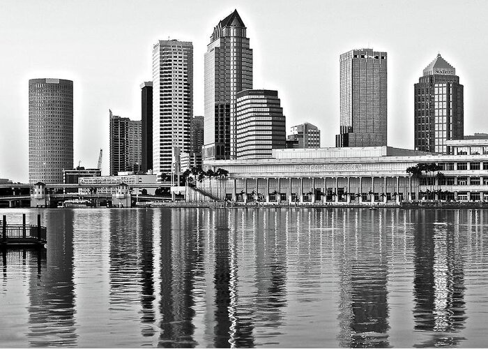 Tampa Greeting Card featuring the photograph Black and White in the Heart of Tampa Bay by Frozen in Time Fine Art Photography