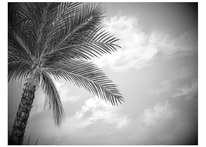 Cloud Greeting Card featuring the digital art Black and white palm by Darren Cannell