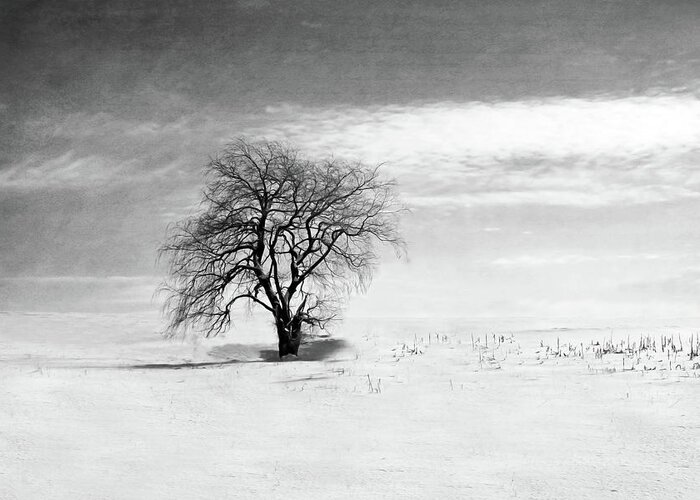 Black And White Greeting Card featuring the photograph Black and White Tree in Winter by Brooke T Ryan
