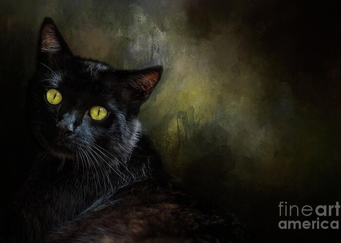 Black Cat Greeting Card featuring the photograph Black Cat Portrait by Eleanor Abramson