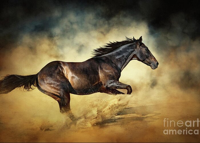 Horse Greeting Card featuring the photograph Black Stallion horse Galloping like a devil by Dimitar Hristov