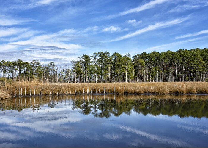 blackwater National Wildlife Refuge Maryland Greeting Card featuring the photograph Blackwater National Wildlife Refuge - Maryland by Brendan Reals