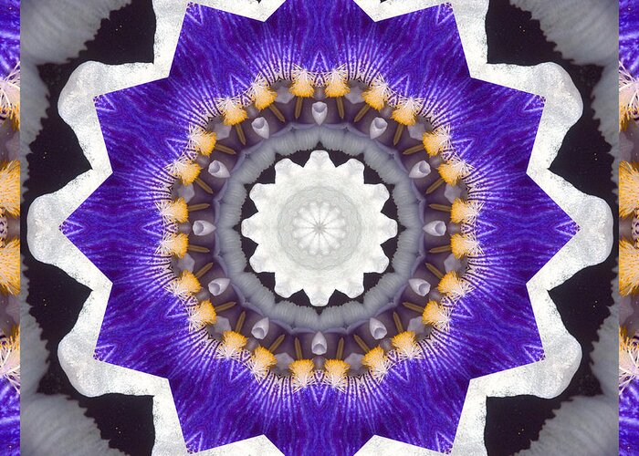 Mandalas Greeting Card featuring the photograph Bliss by Bell And Todd