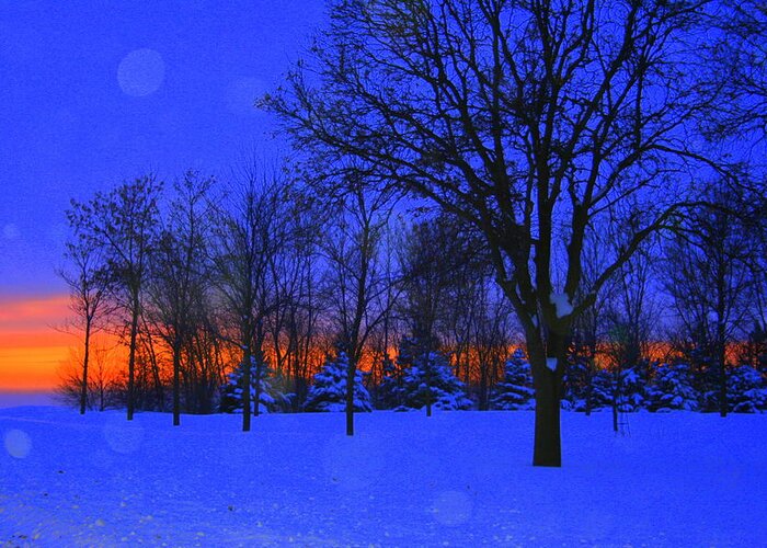 Landscape Greeting Card featuring the photograph Blizzard Blues 2 by Julie Lueders 