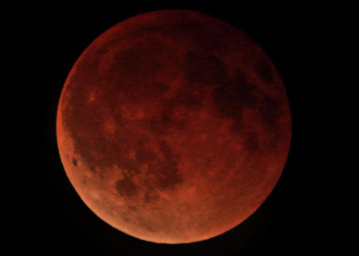 Eclipse Greeting Card featuring the photograph Blood Moon Eclipse by Mark Jackson