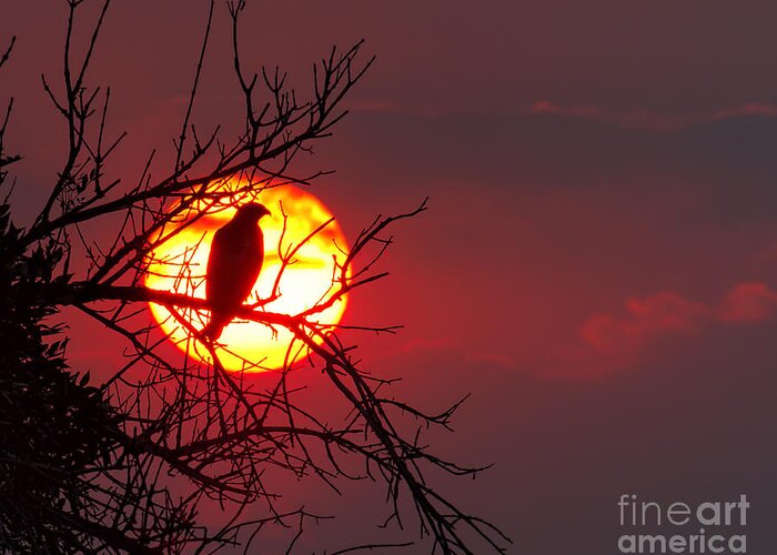 Sunsets/sunrises Greeting Card featuring the photograph Blood Red by Jim Garrison