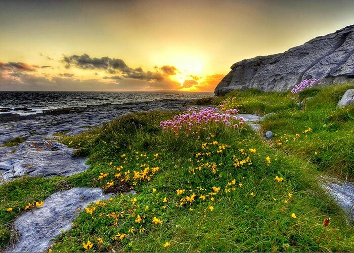 Ireland Greeting Card featuring the photograph Blooming Burren by Joe Ormonde