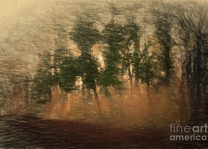 Trees Greeting Card featuring the photograph Blowin' in the Wind by Elaine Teague