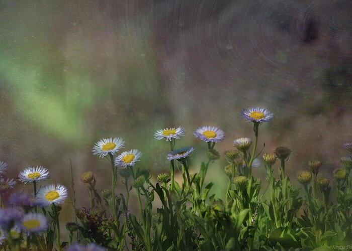 Flowers Greeting Card featuring the photograph Blowing in the breeze by Patricia Dennis