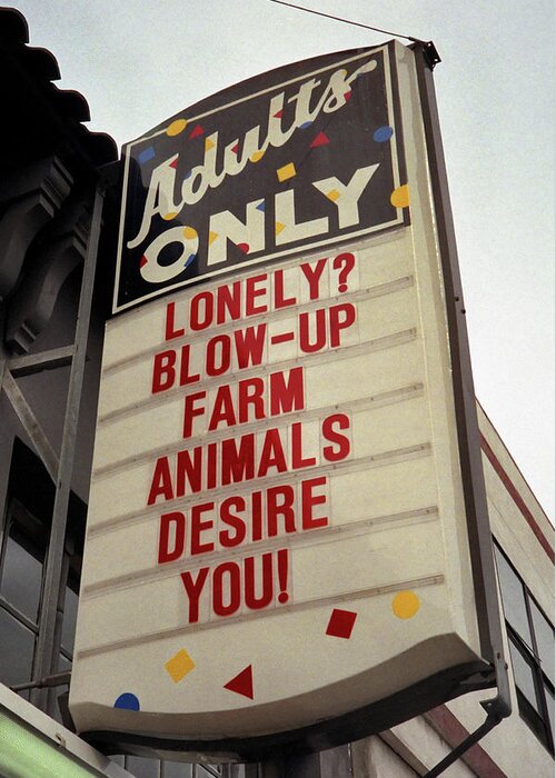 Color Greeting Card featuring the photograph Blowup Farm Animals Sign by Frank DiMarco
