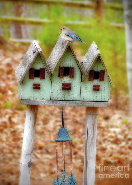 Blue Bird Greeting Card featuring the photograph Blue Birds Castle by Laura Brightwood