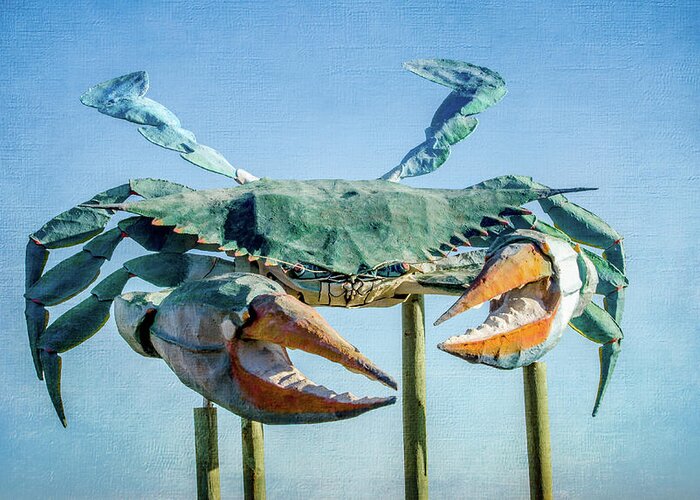 Tourist Attraction Greeting Card featuring the photograph Blue Crab by Debra Martz