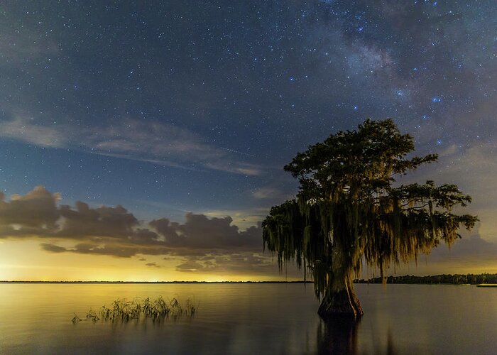 Blue Cypress Lake Greeting Card featuring the photograph Blue Cypress Lake Nightsky by Stefan Mazzola
