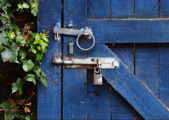 Abstract Blue Door Brass Lock Bolt Rust Wooden Ring Handle Ivy Garden Screws Green Galvanised Fittings Leaves Greeting Card featuring the photograph Blue Door Lock and Bolt by Jeff Townsend