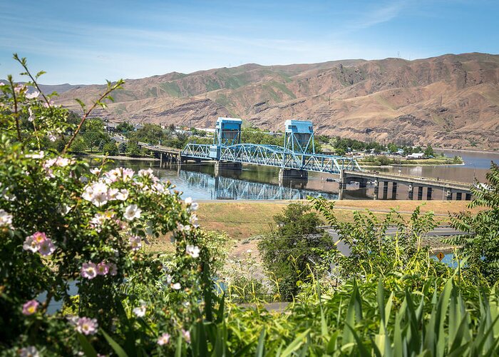 Lewiston Idaho Clarkston Washington Id Wa Lewis Clark Lc Valley Snake River Confluence Blue Bridge Daytime Pink Rose Bush Iris Green Blue Outdoors Scenic Interstate View Greeting Card featuring the photograph Blue in the Daytime by Brad Stinson