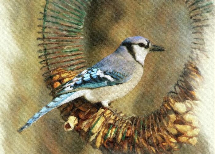 Blue Greeting Card featuring the photograph Blue Jay Staking Its Claim by Diane Lindon Coy
