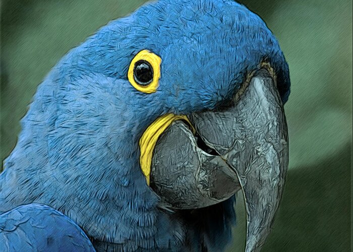 Blue Macaw Greeting Card featuring the digital art Blue Macaw 2 by Larry Linton