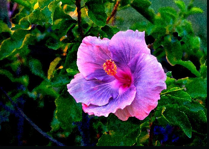 Flower Greeting Card featuring the photograph Blue Moon Hibiscus by Steve Karol