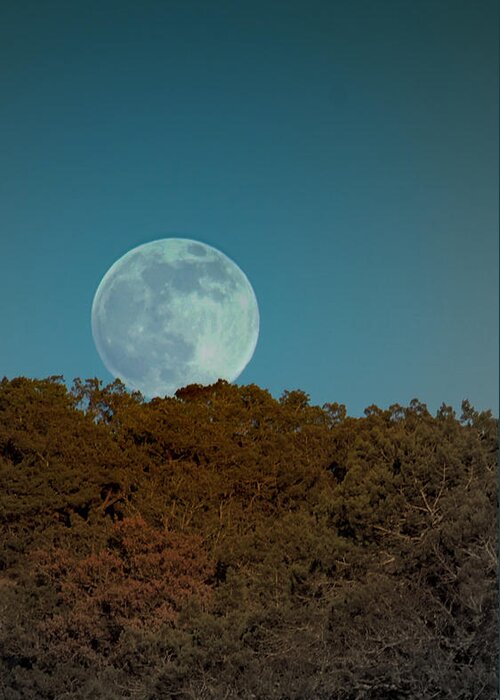 Moon Greeting Card featuring the photograph Blue Moon Risign by Karen Musick