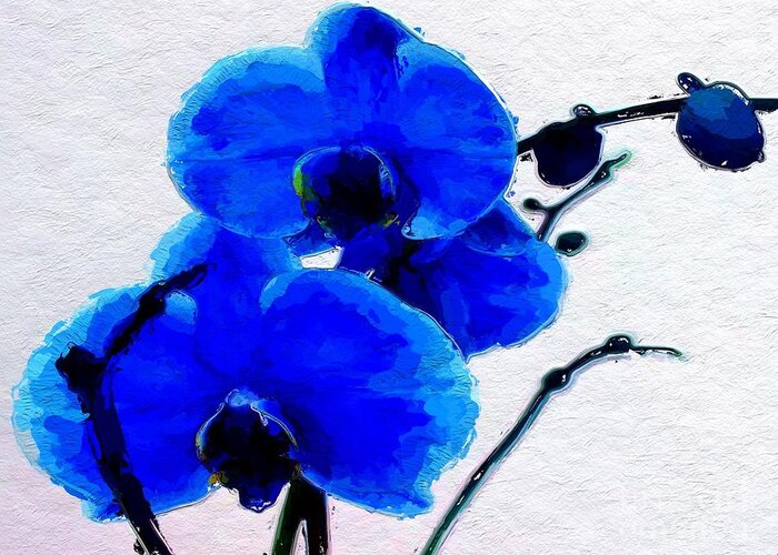 Anthony Fishburne Greeting Card featuring the digital art Blue Orchid by Anthony Fishburne