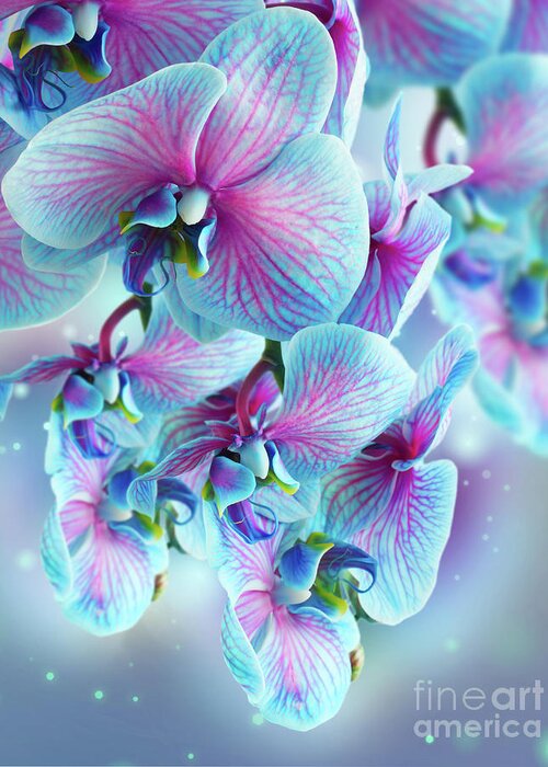 Flower Greeting Card featuring the photograph Blue Orchid Branch by Anastasy Yarmolovich
