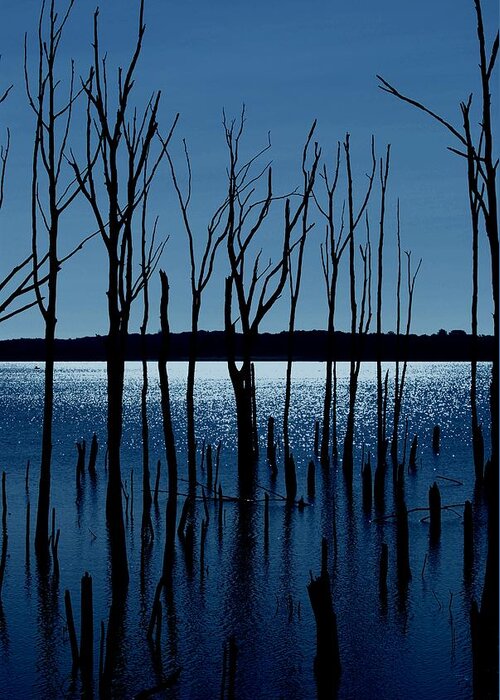 Nature Landscapes Greeting Card featuring the photograph Blue Reservoir - Manasquan Reservoir by Angie Tirado