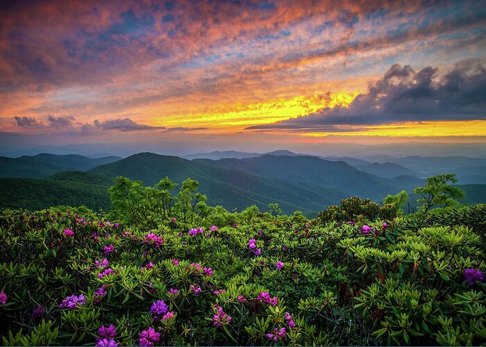Spring Greeting Card featuring the photograph Blue Ridge Parkway NC Blooming Sunset by Robert Stephens