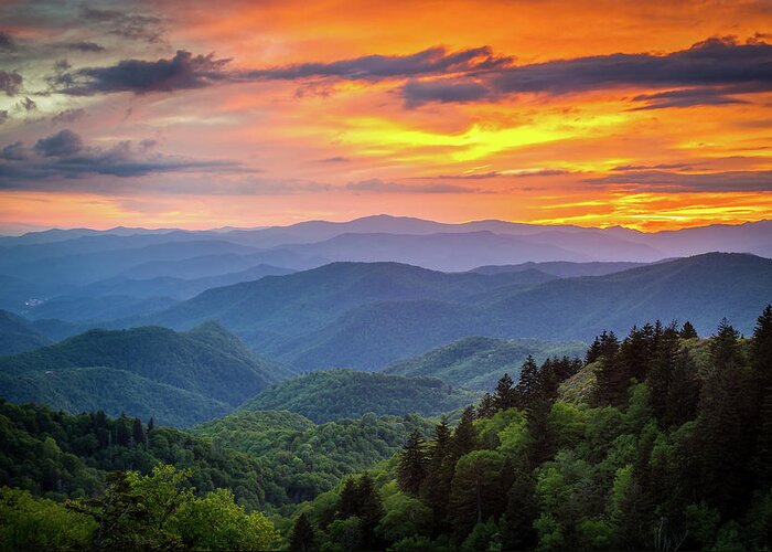 Landscape Greeting Card featuring the photograph Blue Ridge Parkway NC Taken By Surprise by Robert Stephens