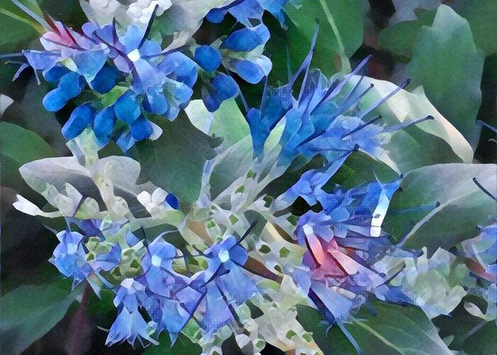 Blue Splash - Flowers Of Spring Greeting Card featuring the photograph Blue Splash - Flowers of Spring by Miriam Danar