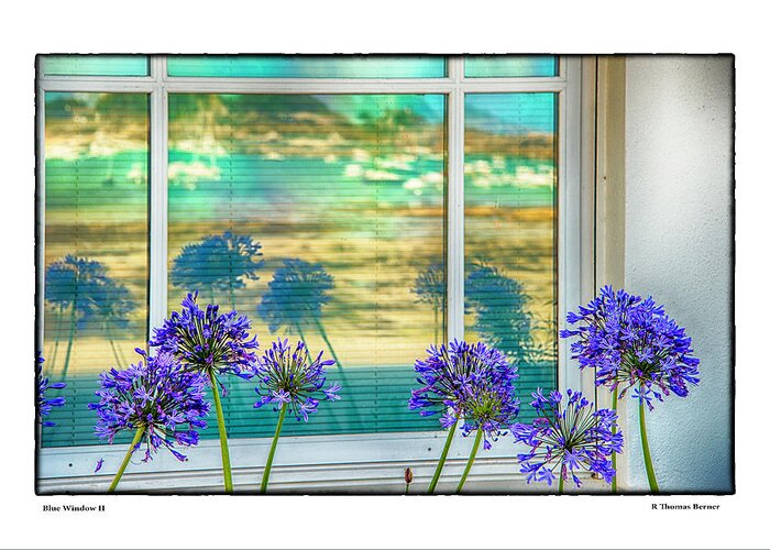  Greeting Card featuring the photograph Blue Window II by R Thomas Berner