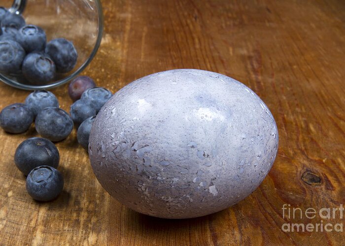 Easter Greeting Card featuring the photograph Blueberry easter egg by Karen Foley