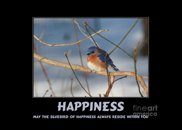 Quote Greeting Card featuring the photograph Bluebird Of Happiness by Smilin Eyes Treasures