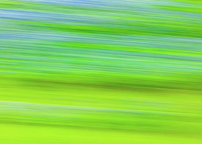 Austin Greeting Card featuring the photograph Bluebonnet Blur by Raul Rodriguez