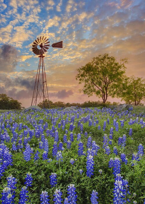 Bluebonnets Greeting Card featuring the photograph Bluebonnets Beneath a Windmill 2 by Rob Greebon