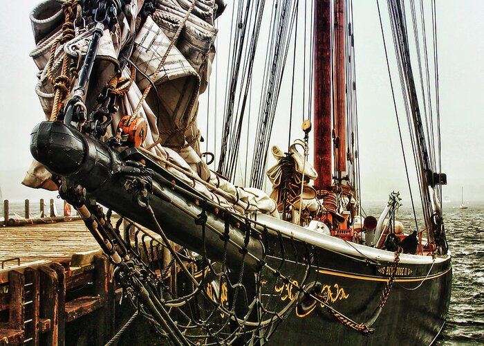 Bluenose Greeting Card featuring the photograph Bluenose by Tatiana Travelways