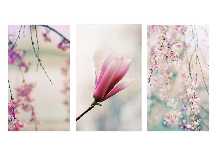 Triptych Greeting Card featuring the photograph Blush Blossom Triptych by Jessica Jenney