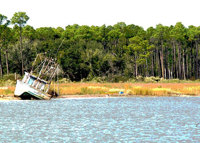 Boats Greeting Card featuring the photograph Boat Series 2 Little River Grounded by Paul Gaj