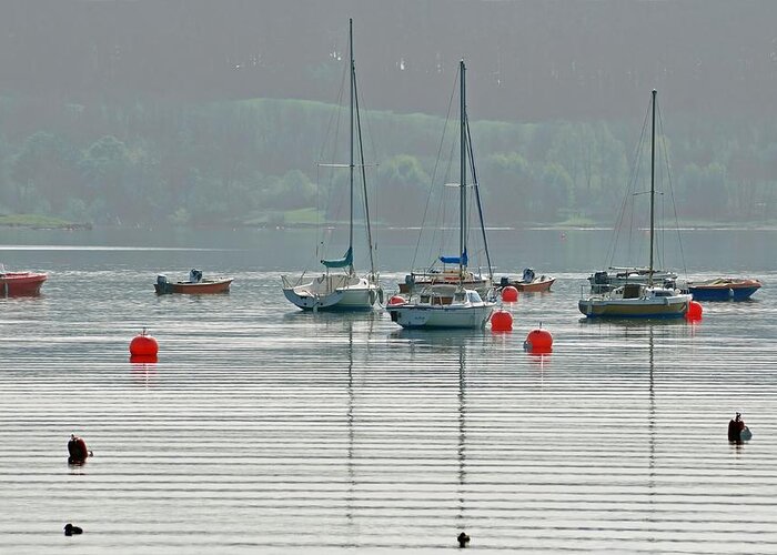 Spring Greeting Card featuring the photograph Boats On Carsington Water by Rod Johnson