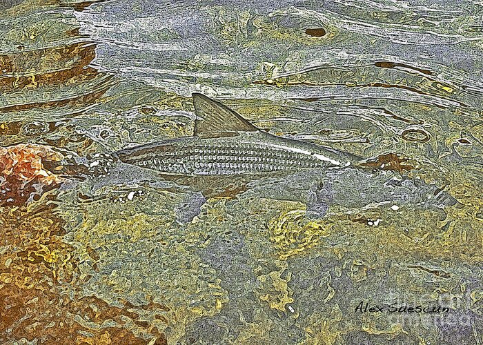 Bonefish Greeting Card featuring the painting Bonefish Release by Alex Suescun