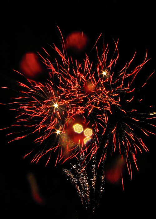 Fireworks Greeting Card featuring the photograph Boquet of Light by Pam Ellis