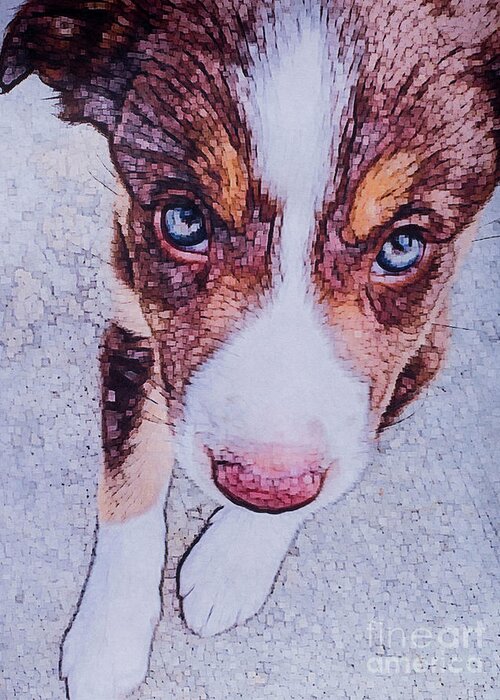 Dog Greeting Card featuring the digital art Border Collie puppy II by Jackie MacNair