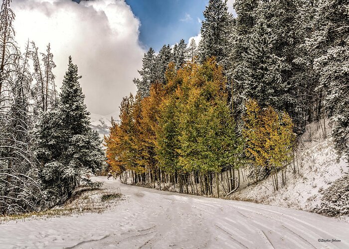 Boreas Pass Road Greeting Card featuring the photograph Boreas Pass Road Aspen and Snow by Stephen Johnson