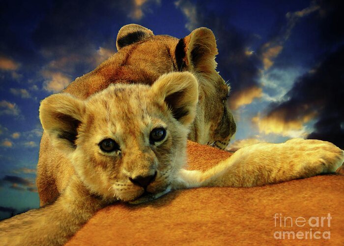 Park Greeting Card featuring the photograph Born Free III by Al Bourassa