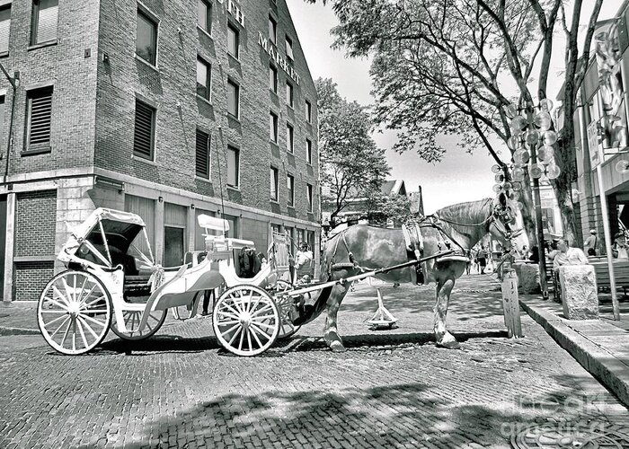 Faneuil Hall Greeting Card featuring the photograph Boston Buggy by Elizabeth Dow