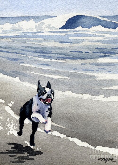 Boston Terrier Greeting Card featuring the painting Boston Terrier At The Beach by David Rogers