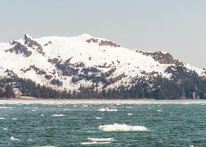Alaska Greeting Card featuring the photograph Brack Ice in the Kenai Fjord Alaska by Charles McCleanon