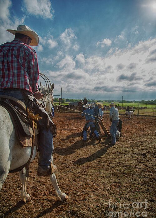 4b Ranch Greeting Card featuring the photograph Branding Teamwork by Terri Cage