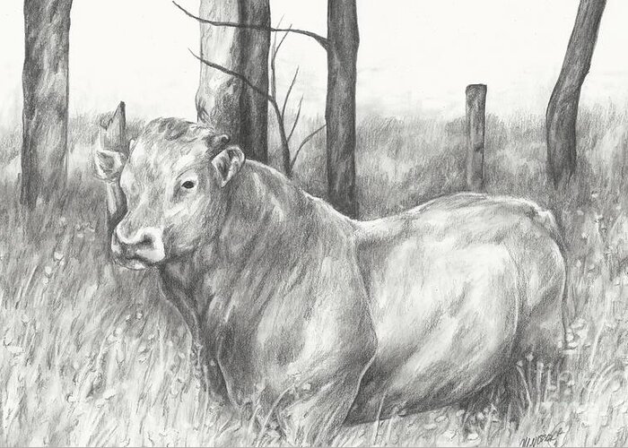 Pasture Greeting Card featuring the drawing Breaker study by Meagan Visser
