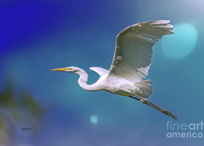 Egrets Greeting Card featuring the photograph Breakin Dawn Flyer-The Great Egret by DB Hayes
