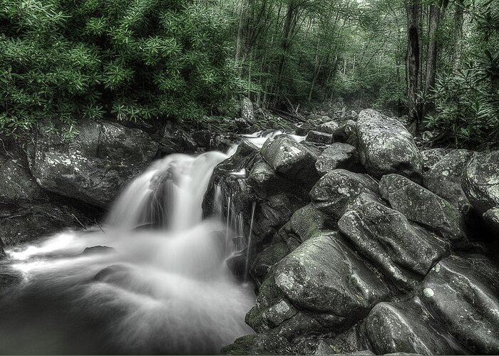 Tennessee Stream Greeting Card featuring the photograph Breathe by Mike Eingle